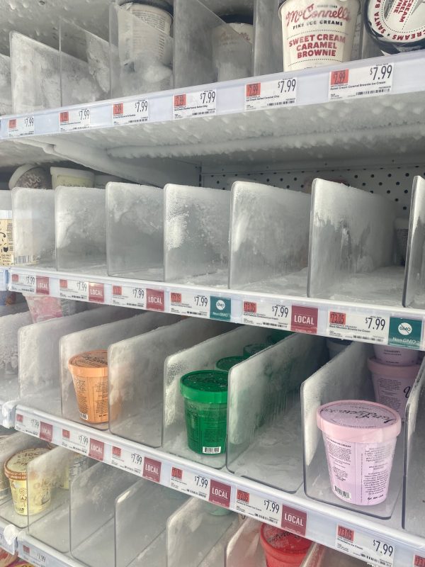 Clear L-Shaped Divider - Ice Cream Cooler 4