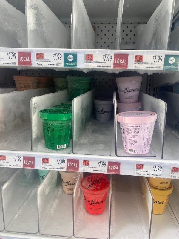 Clear L-Shaped Divider - Ice Cream Cooler 4 - Image 2